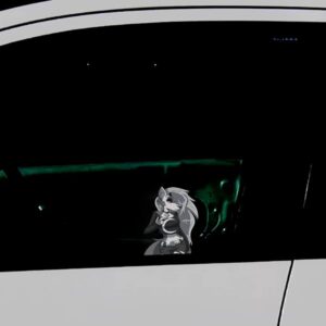 Helluva Boss Loona Peeker Sticker - 13 cm